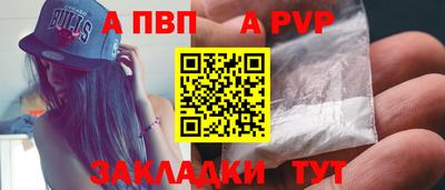 стаф Малгобек