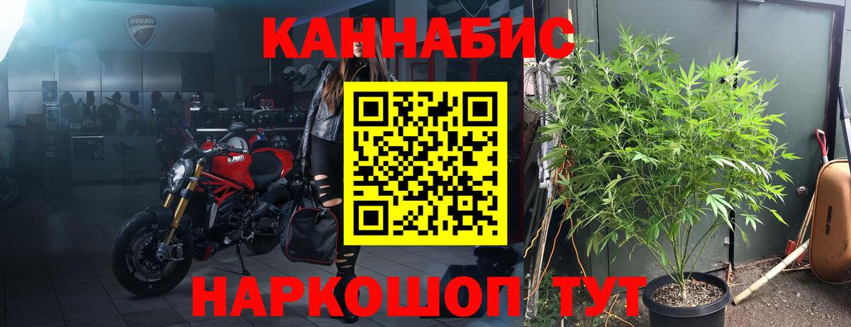 Бошки марихуана планчик  Шишки марихуана OG Kush  Белово  Вход с VPN 